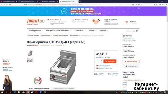 Фритюрница Lotus FQ-4ET Омск - изображение 1