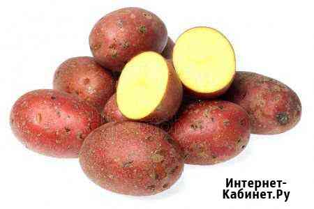 Картофель Челябинск