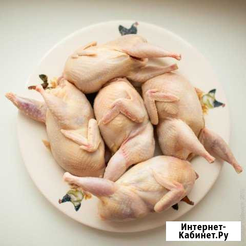Мясо перепела Кирово-Чепецк - изображение 1