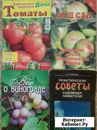 Сад, дача, томаты, виноград 4фото Нижнекамск