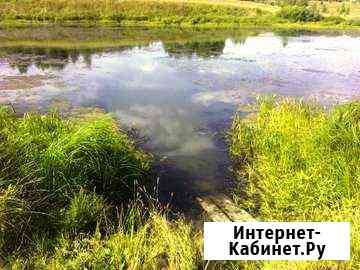Участок 50 сот. (СНТ, ДНП) Павлово