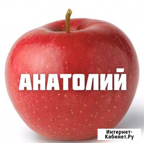 Яблоко Анатолий Мурманск - изображение 1