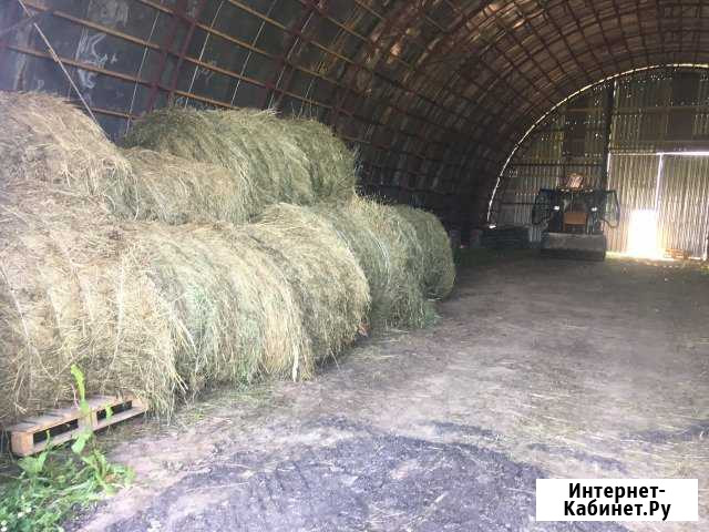 Сено Волоколамск - изображение 1