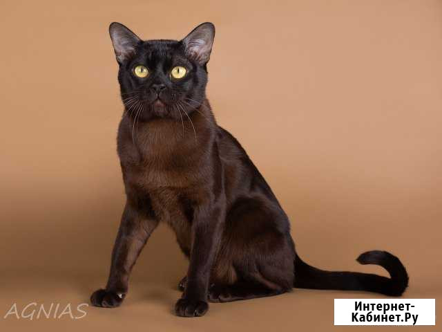 Вязка Санкт-Петербург - изображение 1