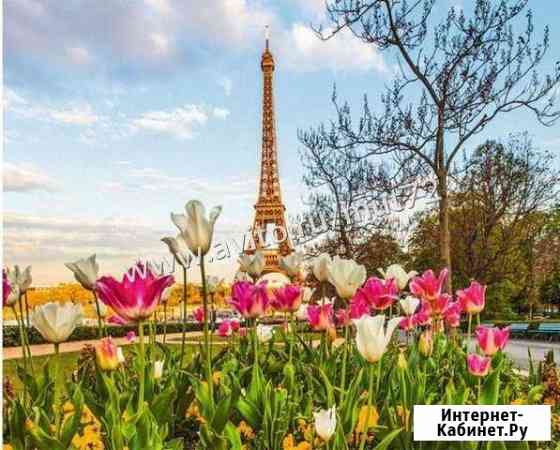 Картина по номерам 40*50 см Парижские тюльпаны Архангельск