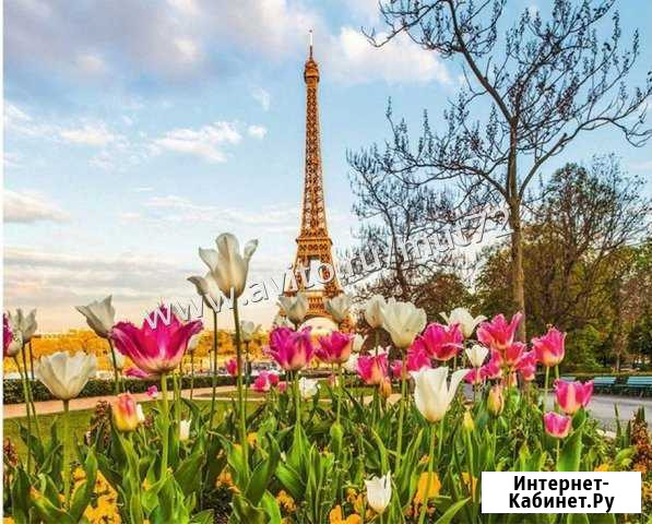 Картина по номерам 40*50 см Парижские тюльпаны Архангельск - изображение 1