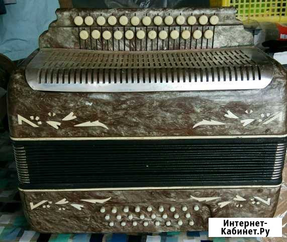 Гармонь Волгоград - изображение 1