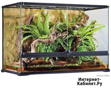 Террариум Exo Terra Краснодар - изображение 1