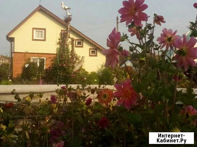 Дача 80 кв.м. на участке 10 сот. Ново-Талицы - изображение 1