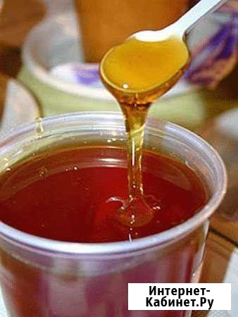 Продаю мёд С личной пасеки Себрово - изображение 1