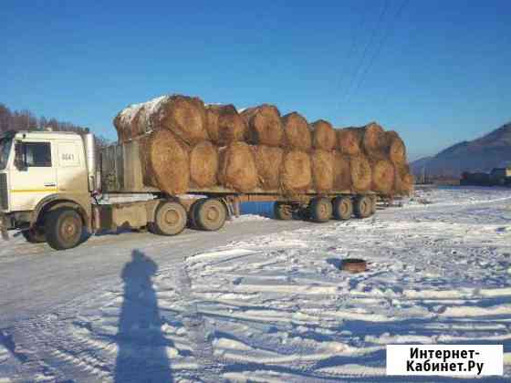 Продам сено,Шебалино. Доставка по Республике Алтай Белокуриха