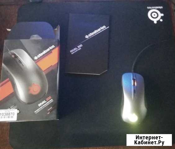 Игровая мышь Steelseries Rival 300 Петропавловск-Камчатский - изображение 1