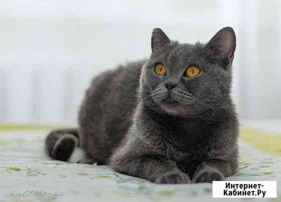 Шикарная Венера ищет самый лучший дом Новосибирск