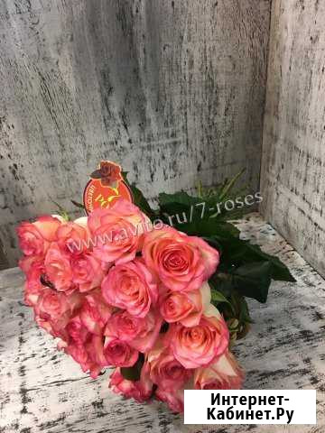 Роза Джумилия, 15шт, 50см. Доставка Краснодар 24ч Краснодар - изображение 1