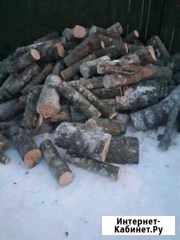 Дрова Нелидово - изображение 1