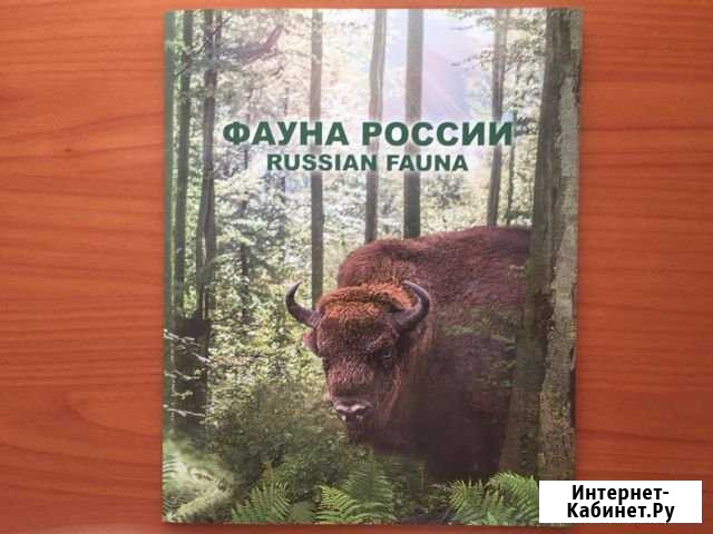 Сувенир.набор Фауна виньетка медведь волк лось лео Ростов-на-Дону - изображение 1
