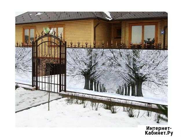 Фотозабор Бор - изображение 1