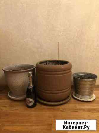 Горшок с землей Вологда