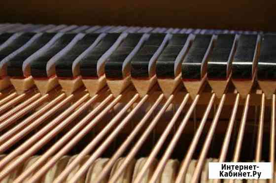 Настройка и ремонт фортепиано Нижний Новгород