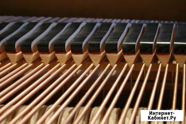 Настройка и ремонт фортепиано Нижний Новгород - изображение 1