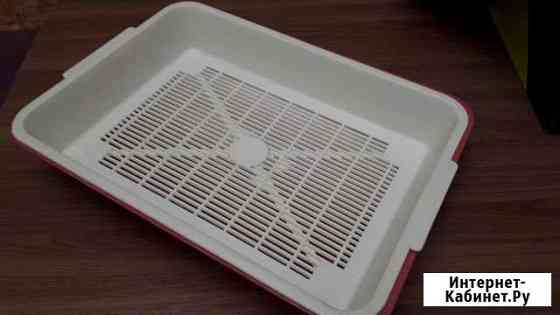 Аксессуары для животных Петропавловск-Камчатский