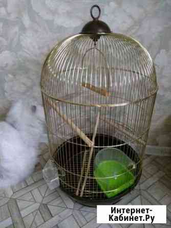 Клетка Астрахань