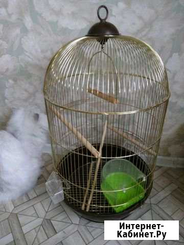 Клетка Астрахань - изображение 1