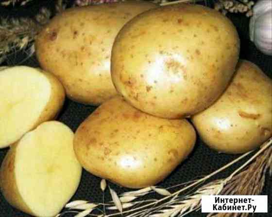 Картофель домашний, тыквы, кабачки, морковь, свёкл Иркутск