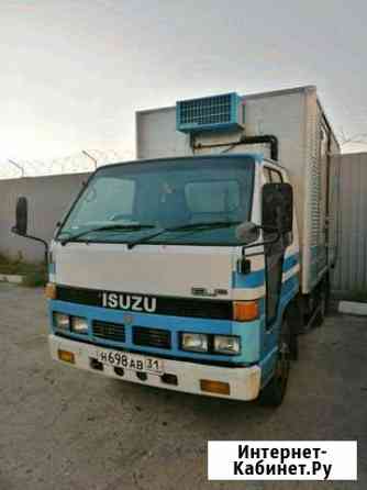 Isuzu elf (реф) Белгород