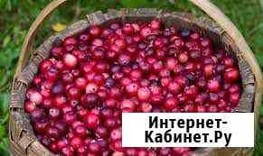 Клюква Череповец