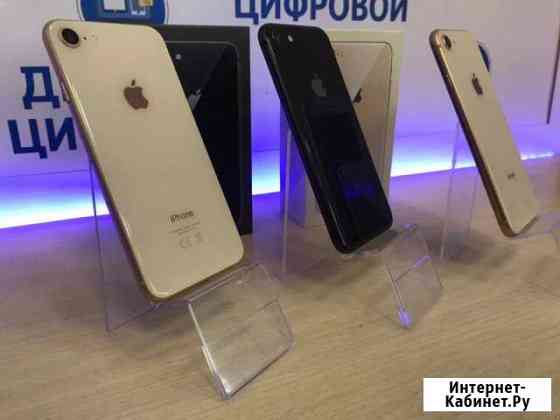 Витринные образцы/iPhone 8/64Gb/всех цветов Вологда