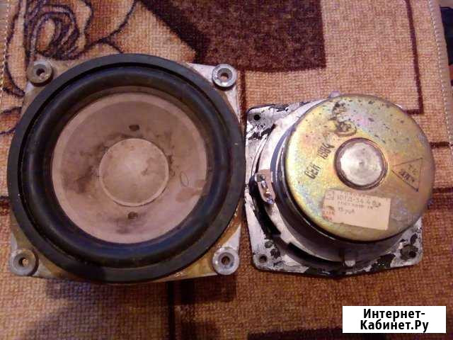 Динамики 10гд-34 4Ом Чаадаевка - изображение 1