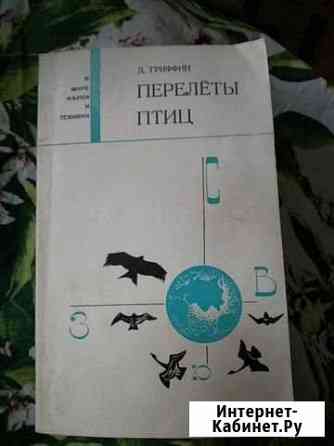 Перелёты птиц Мытищи
