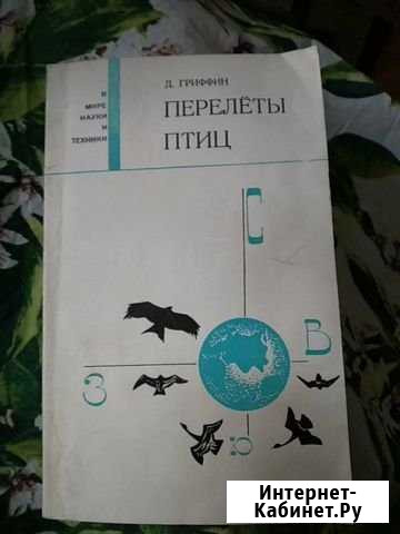 Перелёты птиц Мытищи - изображение 1