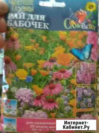 Семена цветущего газона Северодвинск