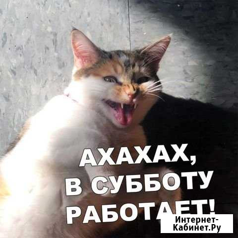 Помощь по дому Новоплатнировская - изображение 1