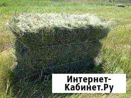 Сено разнотравье,суданка в тюках Шахты
