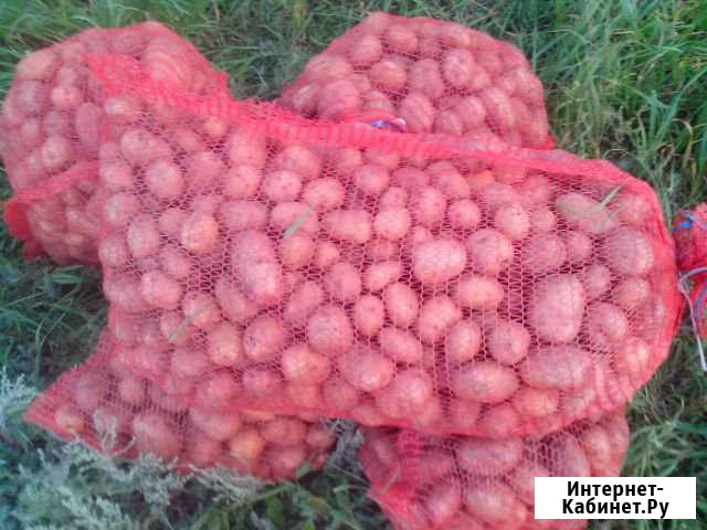 Картофель домашний с доставкой Старый Оскол - изображение 1