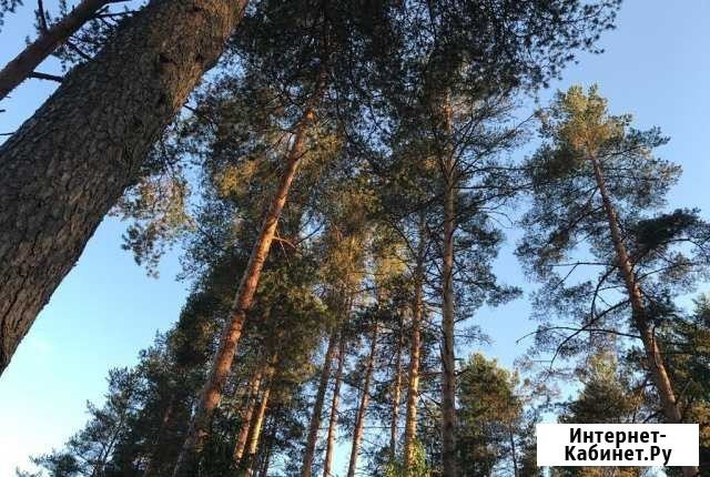 Участок 25 сот. (ИЖС) Зеленогорск - изображение 1