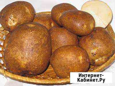 Настоящий деревенский картофель Тула