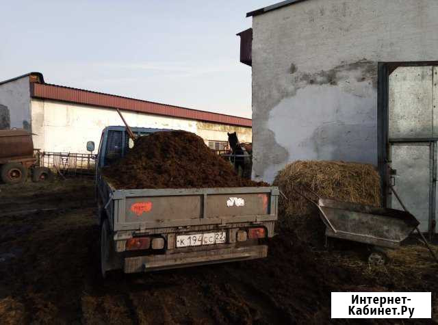 Доставка навоза земли Новокузнецк - изображение 1