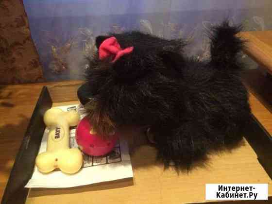 Интерактивная собачка Б а к с и Омск