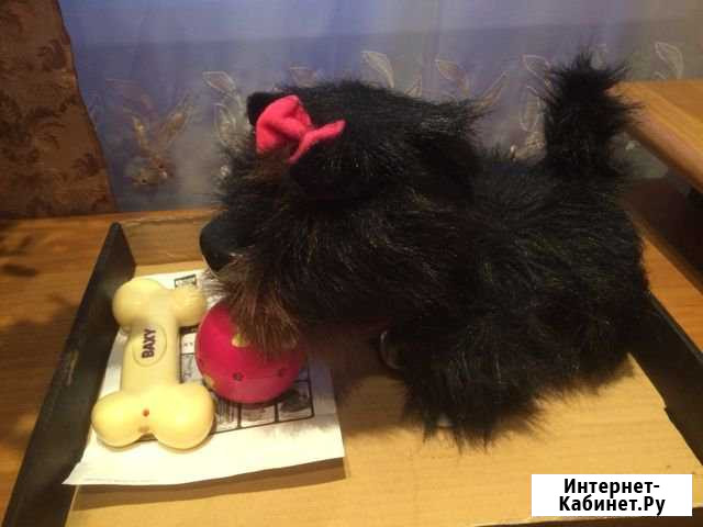 Интерактивная собачка Б а к с и Омск - изображение 1