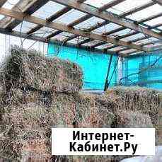 Сено и солома пшеница кукуруза Сочи