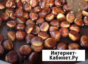 Каштаны Майкоп