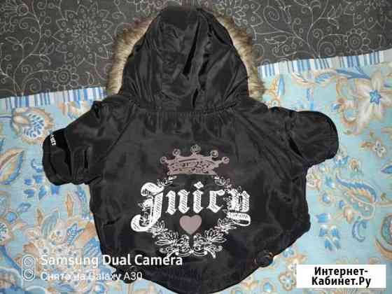 Курточка для собачки Кострома