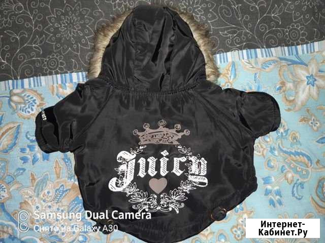 Курточка для собачки Кострома - изображение 1