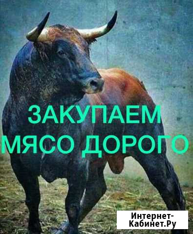М.Я.С.О Д.О.Р.О.Г.О Курган - изображение 1