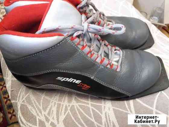 Ботинки лыжные Тула