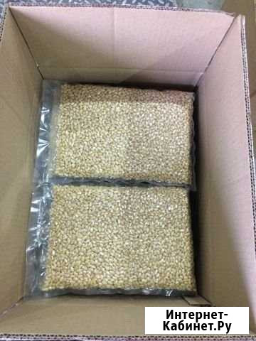 Кедровое Ядро опт Улан-Удэ - изображение 1